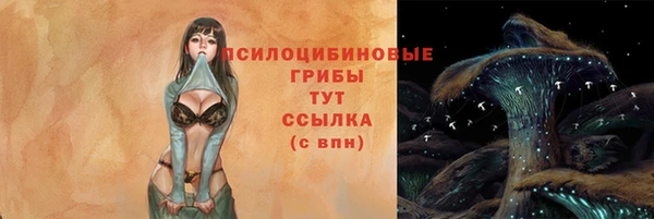 спайс Абаза