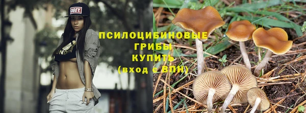 спайс Абаза